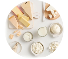 Different types of cheese on a white surface