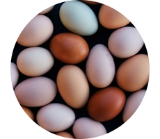 Eggs