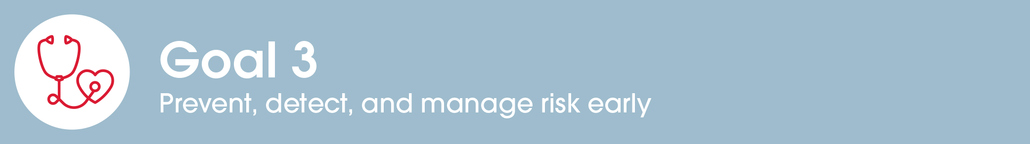 Goal 3 - Prevent, detect, and manage risk early