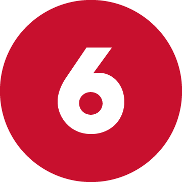 6 icon